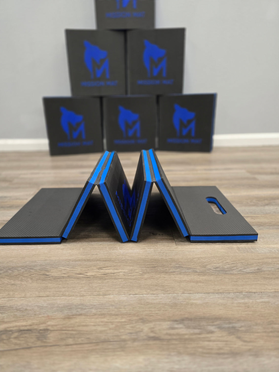 Precision Training Mat for Every Pet