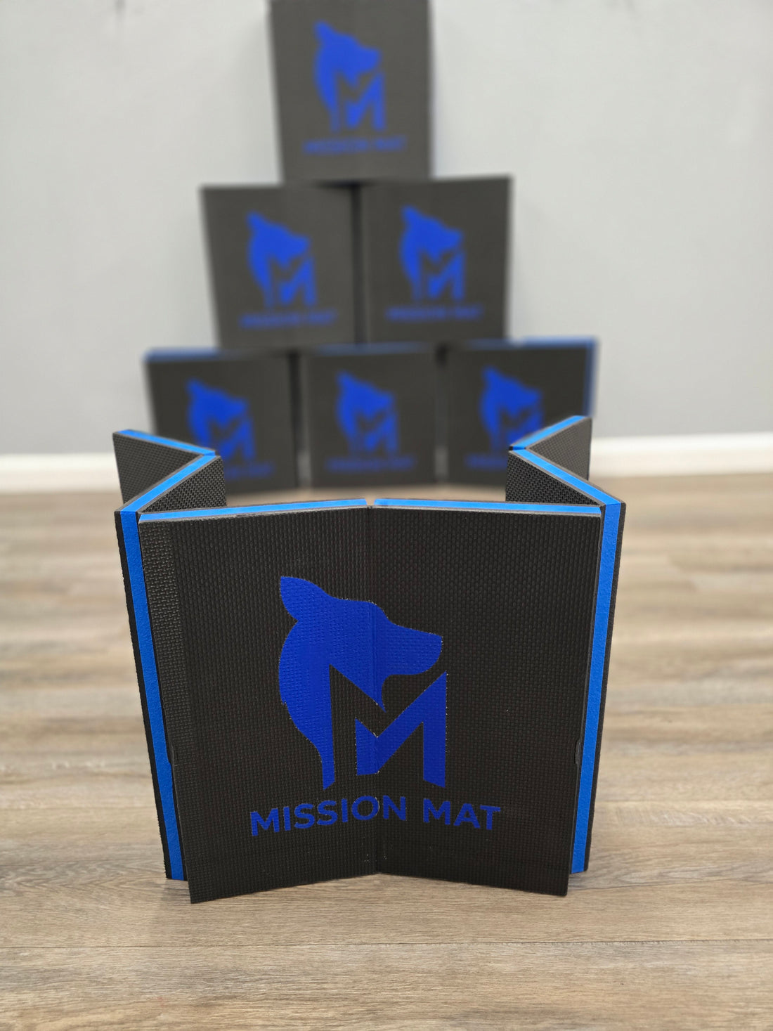 Comfortable Training Mat for Pets