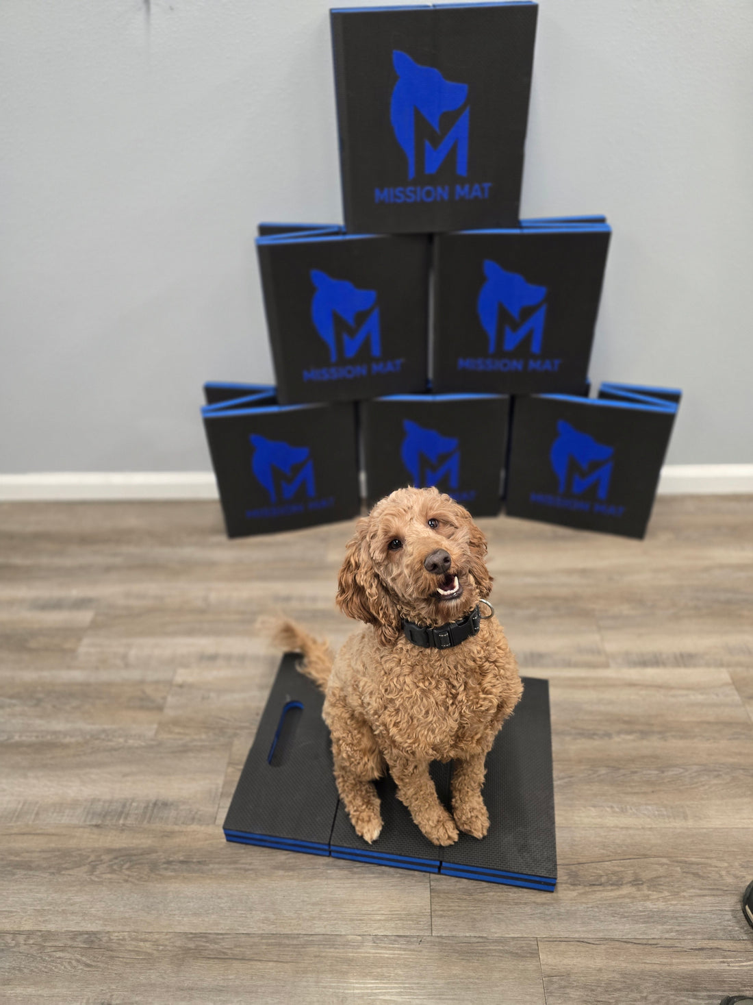 Precision Comfort Pet Mat for Pets