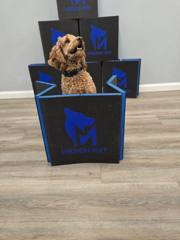 Durable Pet Mat for Ultimate Comfort