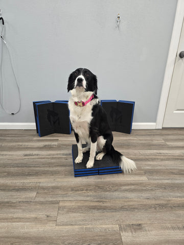 Premium Pet Mat: Comfortable & Durable