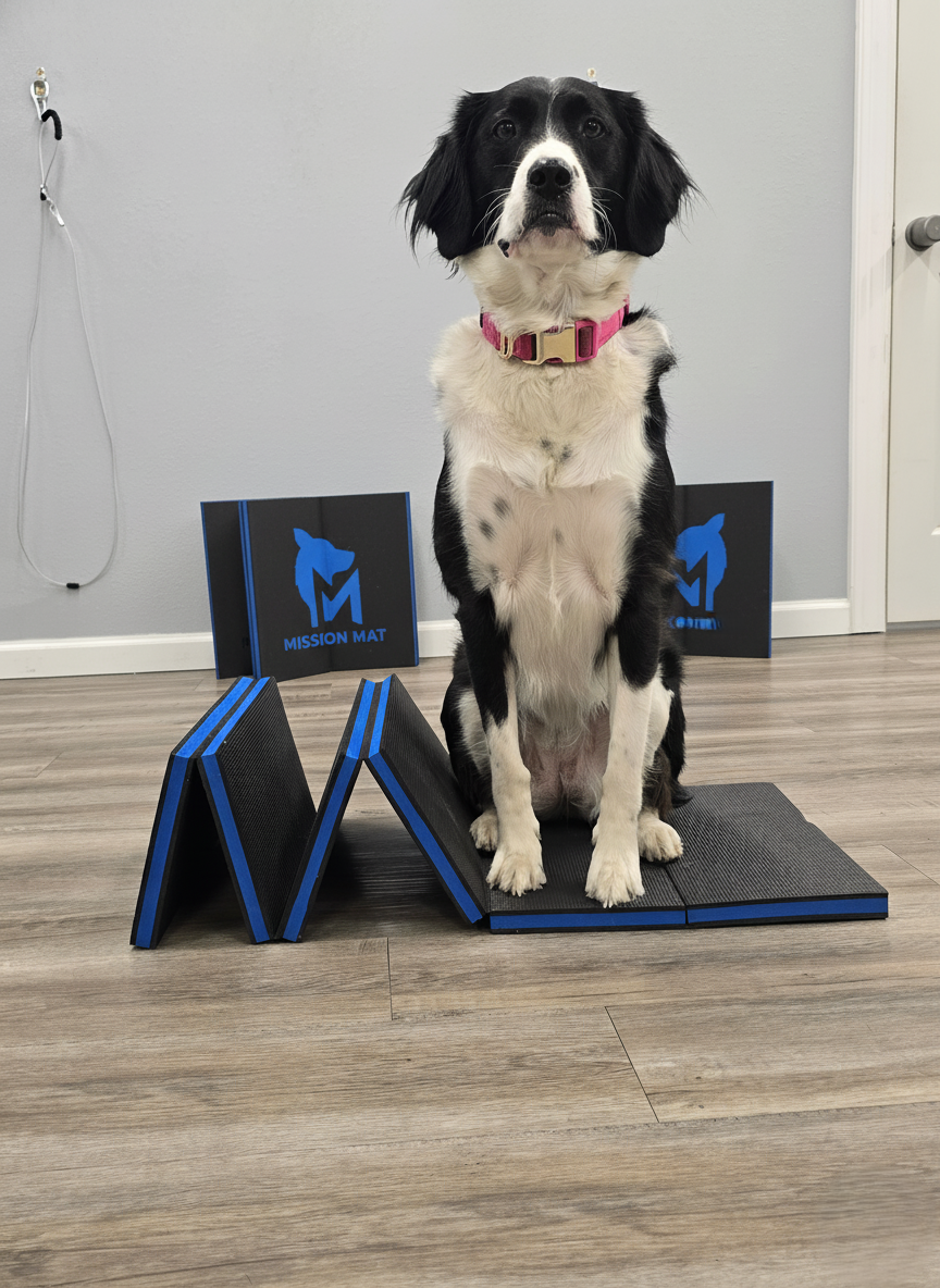 Comfortable Pet Mat with Precision Fit