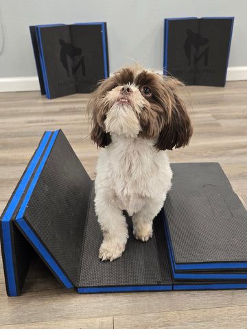 Precision Training Mat for Every Pet