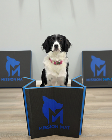 Precision Comfort Pet Mat for Pets